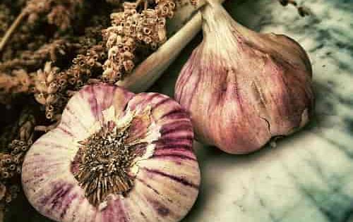 Garlic for Weight Loss